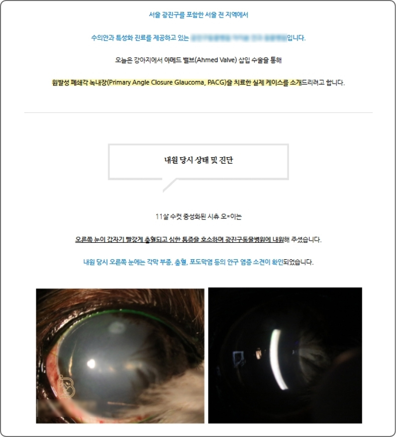 ���α� ���2