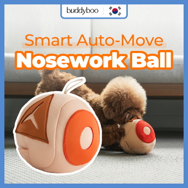 ���� ������� �������� ���� 1