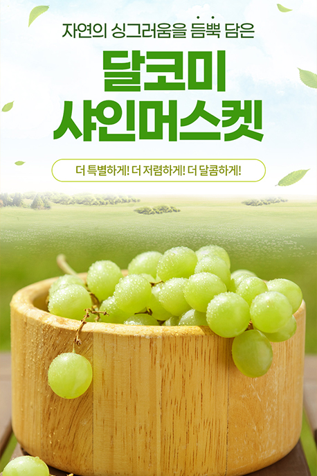 ���μ��� �̹��� 5